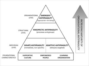 Antifragility taxonomy